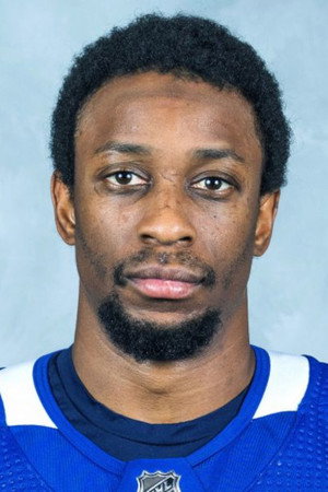 Wayne Simmonds portrait