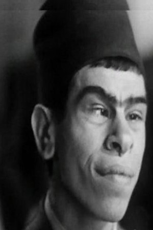 Safa El Gamil portrait