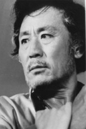 Kim Jin-hae portrait