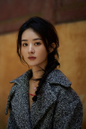 Zhao Liying portrait