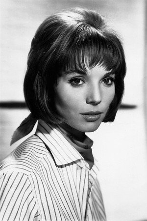 Elsa Martinelli portrait