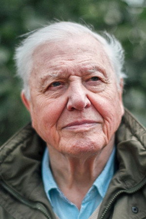 David Attenborough portrait