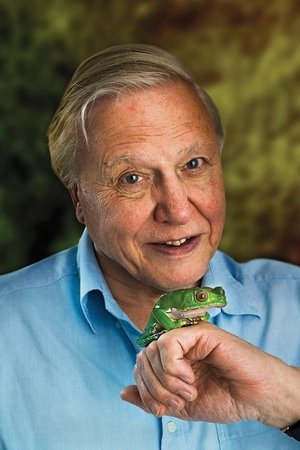 David Attenborough portrait