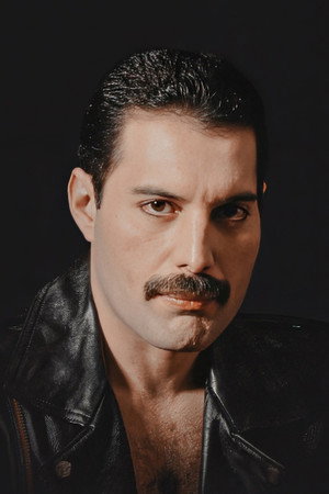 Freddie Mercury portrait