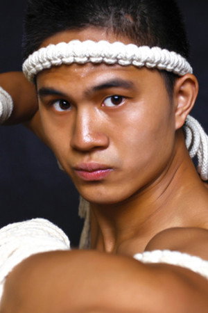 Wang Jin portrait