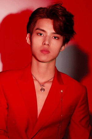Lu Junjie portrait