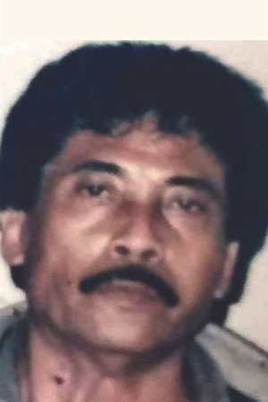 Ras Barkah portrait