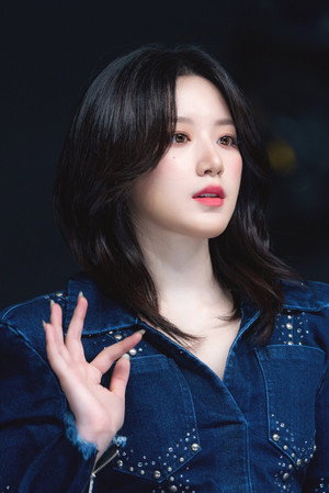 Yeh Shu-hua portrait