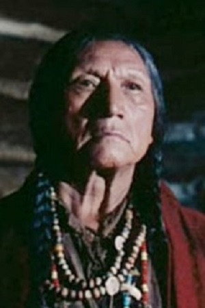 Chief John Big Tree portrait