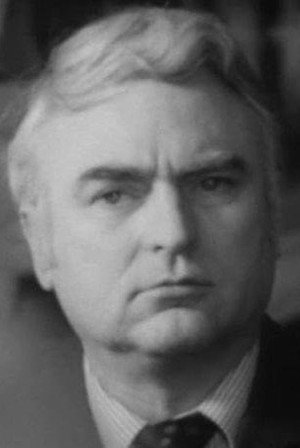 Rudolf Dambran portrait