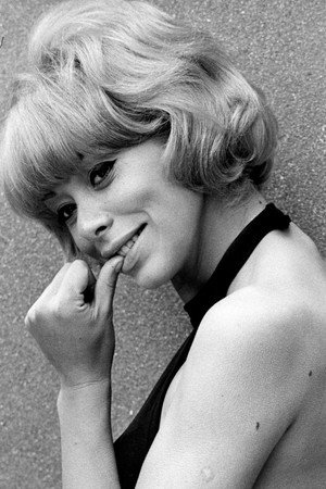 Mireille Darc portrait