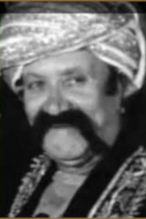 Sadidin Bakdunis portrait