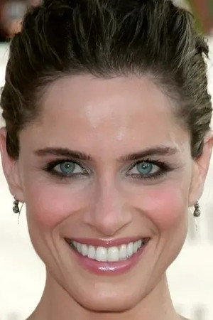 Amanda Peet portrait