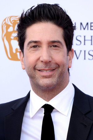 David Schwimmer portrait