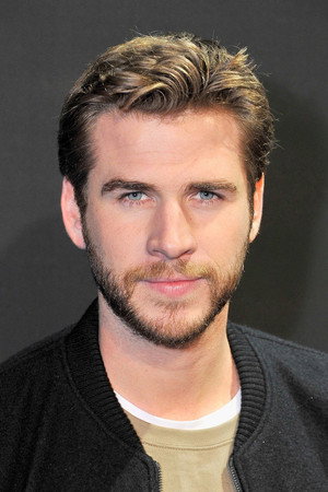 Liam Hemsworth portrait