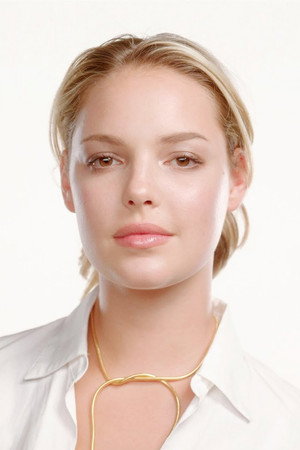 Katherine Heigl portrait