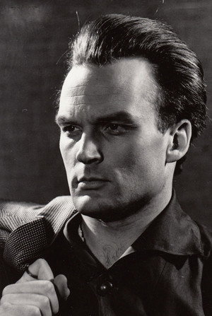 Juris Plavins portrait