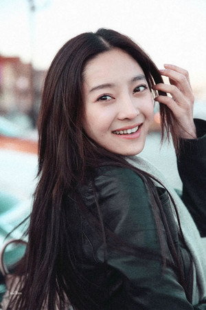 Xu Cenzi portrait