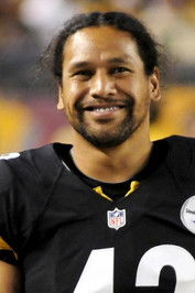 Troy Polamalu portrait