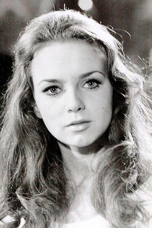 Marie Liljedahl portrait