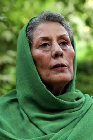 Mahvash Afsharpanah portrait
