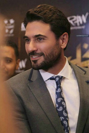 Ahmed Ezz portrait