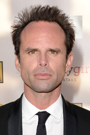 Walton Goggins portrait
