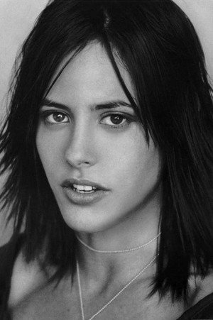 Kate Moennig portrait