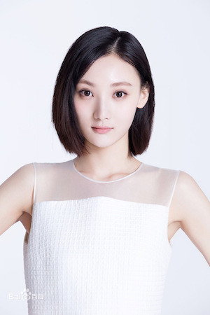 Zhang Hengyu portrait