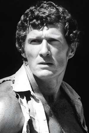 Brad Harris portrait