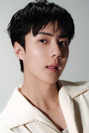 Sehun portrait