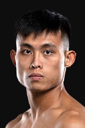 Wang Shuo portrait