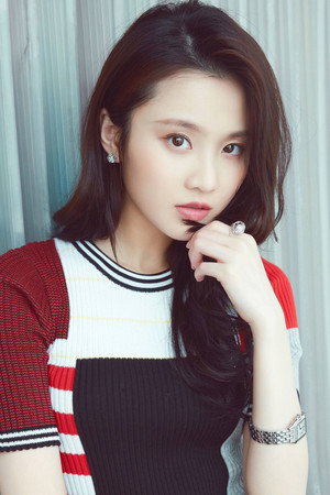 Zhang Huiwen portrait