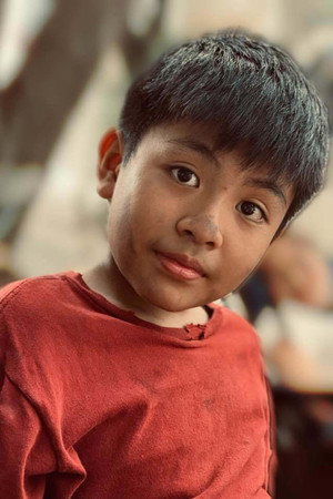 Phạm Duy Anh portrait