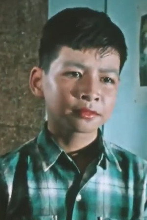 Hùng Sơn portrait