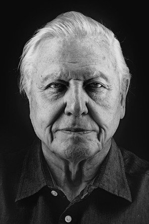 David Attenborough portrait