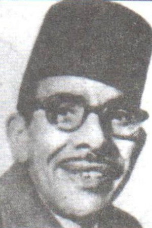 Ibrahim Fawzi portrait
