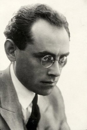 Johan De Meester portrait