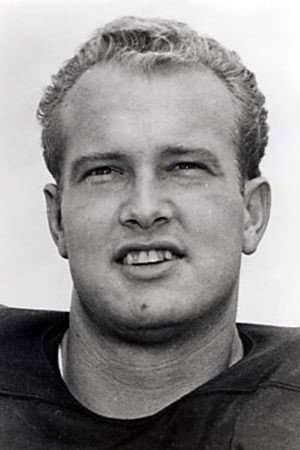 Paul Hornung portrait