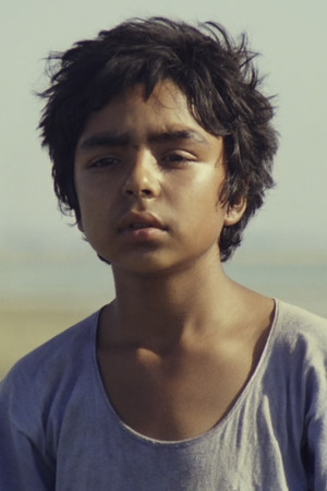 Majid Niroumand portrait