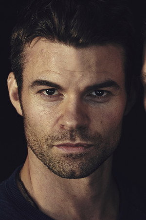 Daniel Gillies portrait