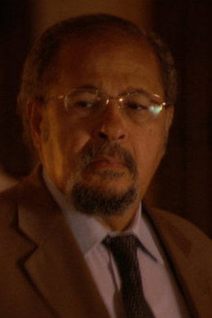 Hanaa Abdel Fattah portrait