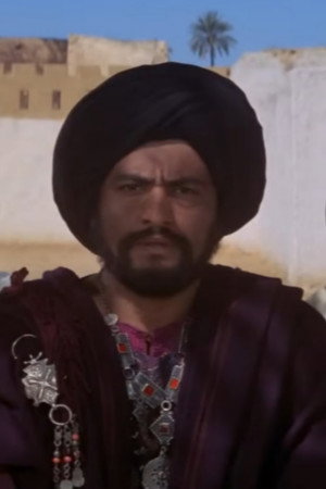 Mahmoud Saeed portrait