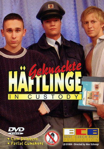 Geknackte Häftlinge: In Custody movie poster