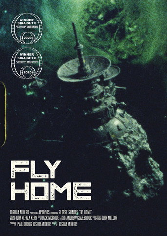 Fly Home movie poster