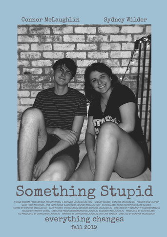 Something Stupid movie poster