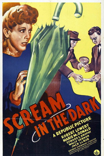 A Scream in the Dark movie poster