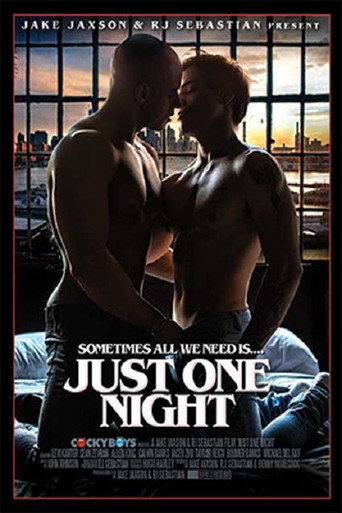 Just One Night movie poster