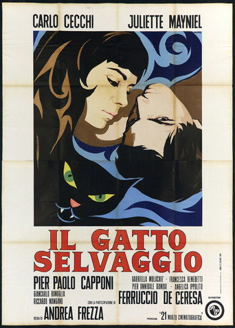 The Wild Cat movie poster