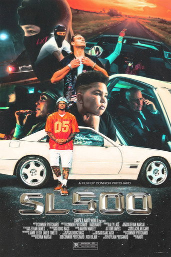 SL500 movie poster